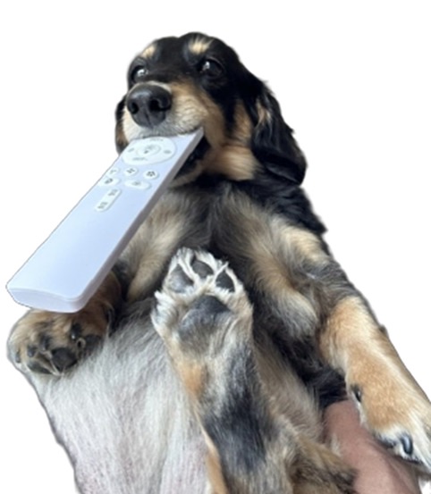 �̹���