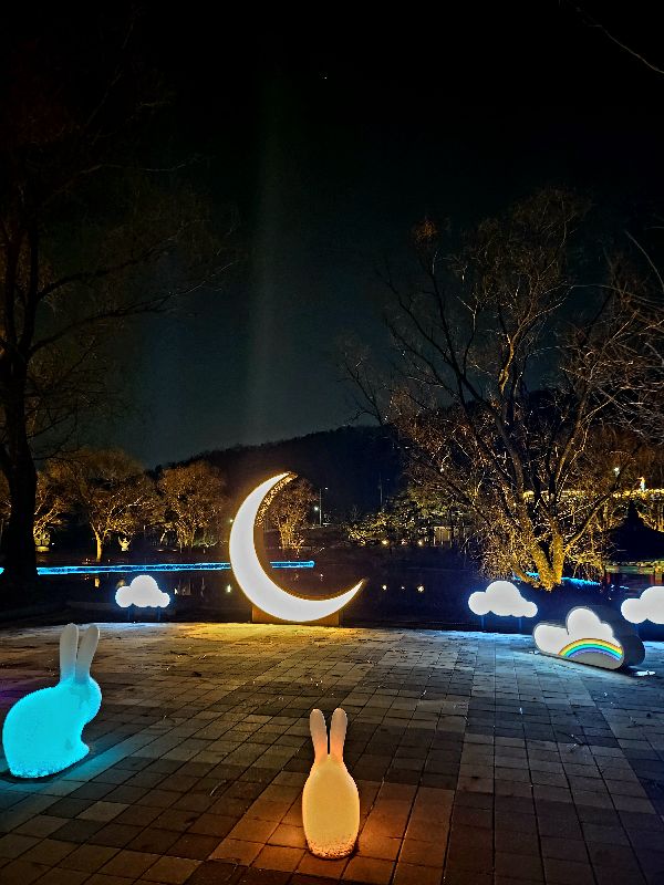 ̹